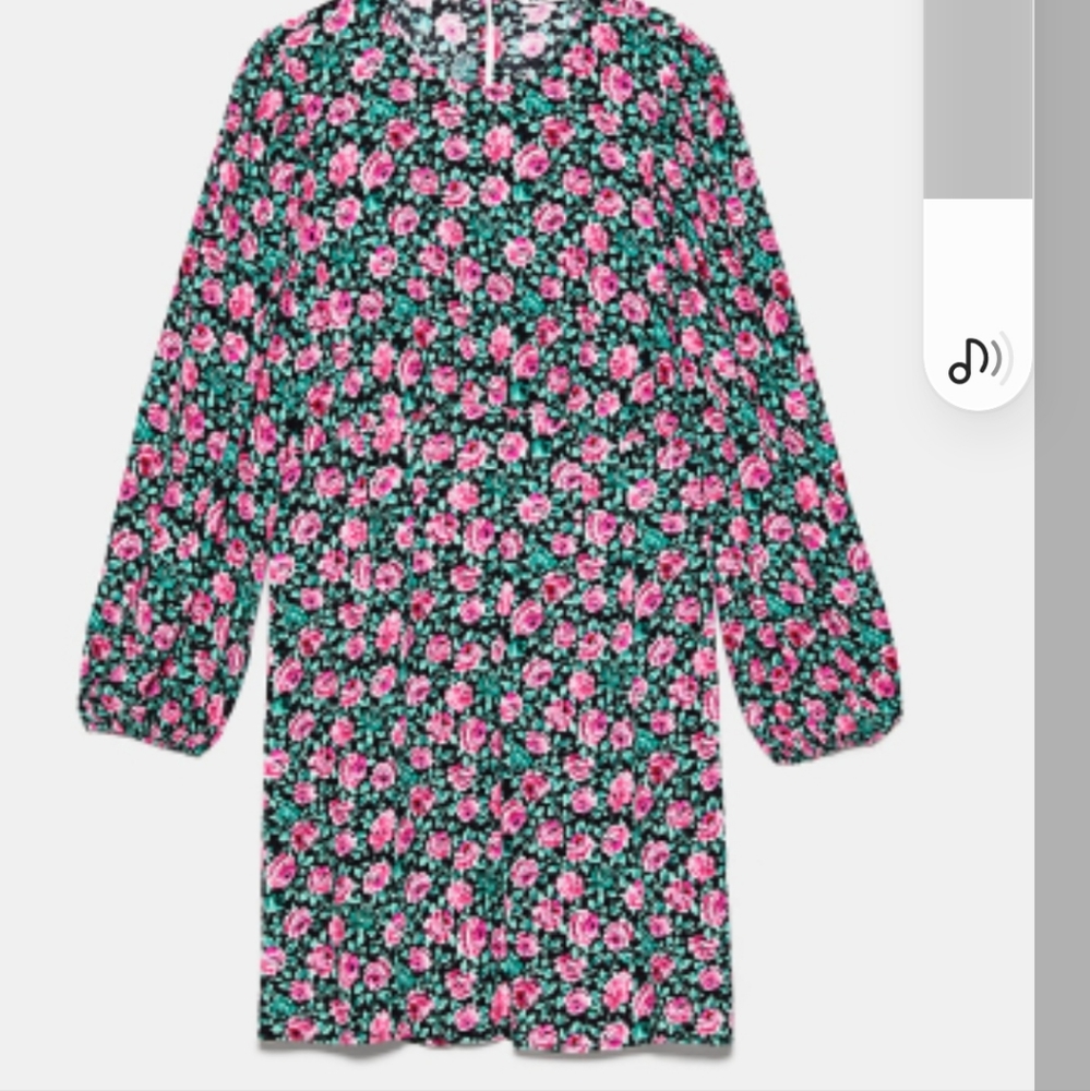 Zara Mini dress or tunic
